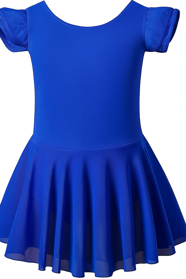 Flutter Sleeves Sheer Ballet Leotard dress