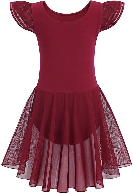 Flutter Sleeves Sheer Ballet Leotard dress