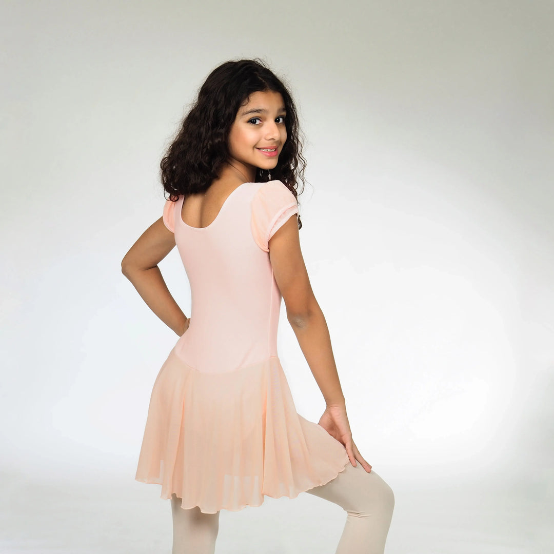 FLUFF | Flutter Sleeves Dress - Ballet Pink